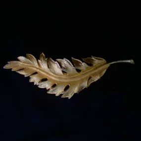 1961 Coro Gold Leaf Brooch