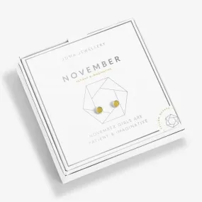 November Birthstone Boxed Earrings 5538