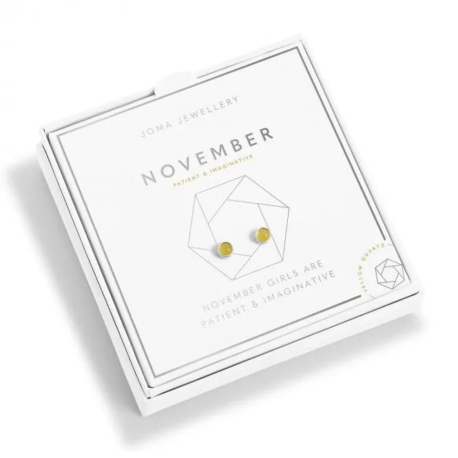 November Birthstone Boxed Earrings 5538