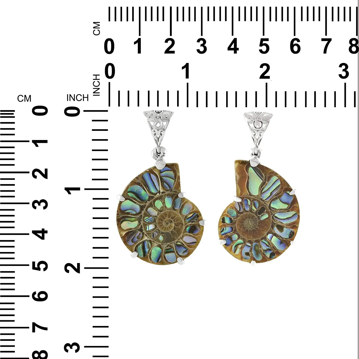 Starborn Ammonite Pendant Inlaid in Abalone (Paua Shell) in 925 Sterling Silver