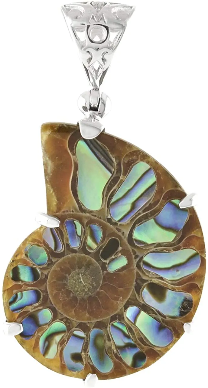 Starborn Ammonite Pendant Inlaid in Abalone (Paua Shell) in 925 Sterling Silver